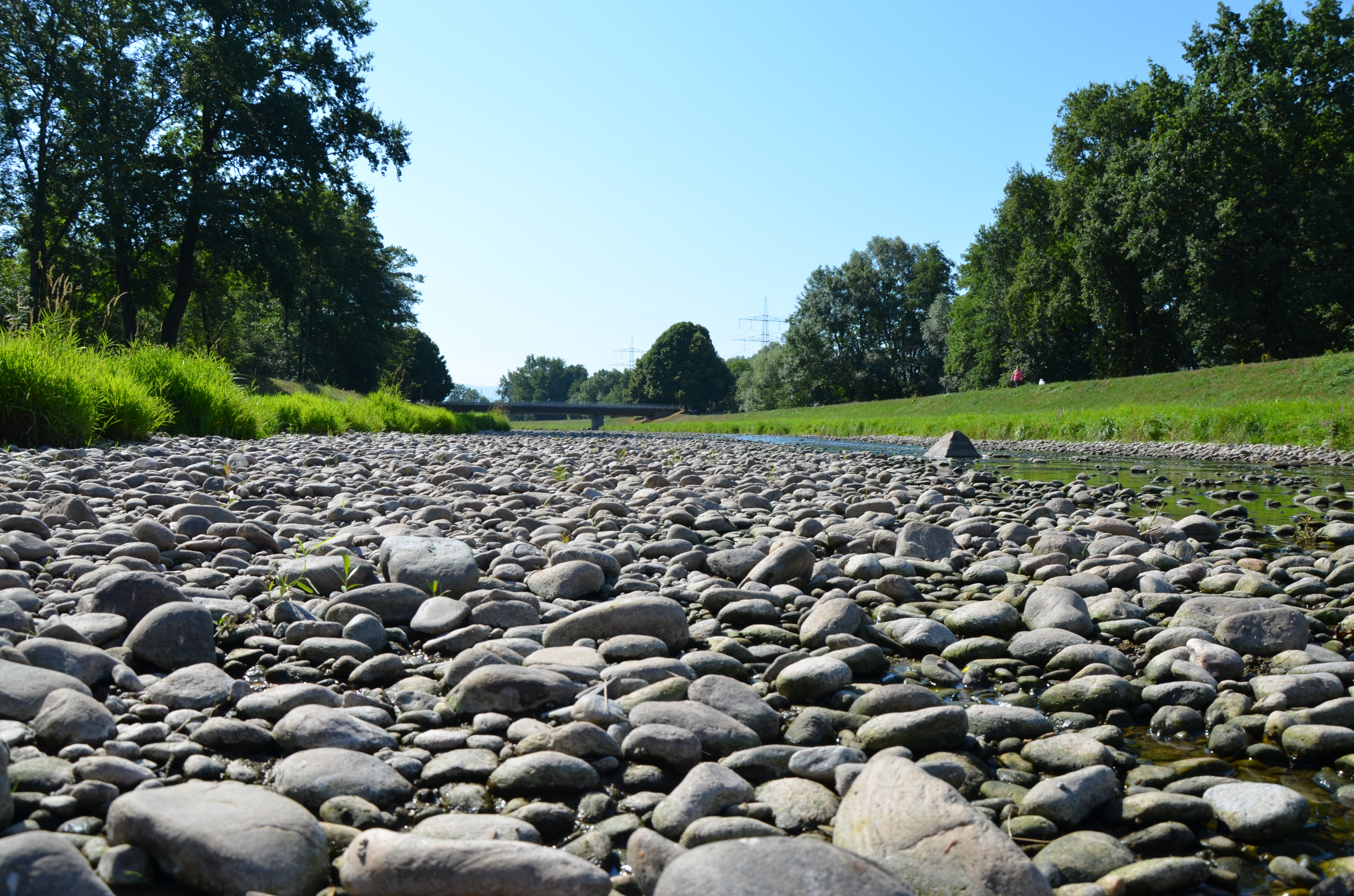 Dreisam-Neuershausen, August 2018